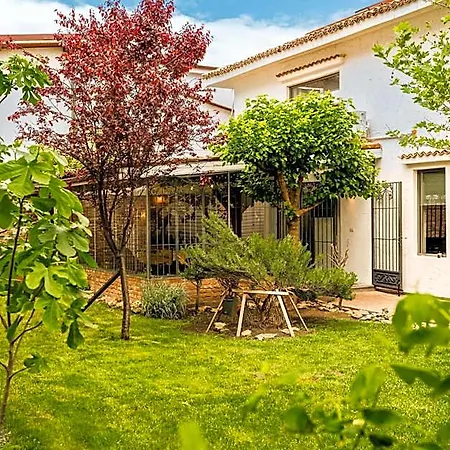 Hotel Sunny Border (adults Only) *