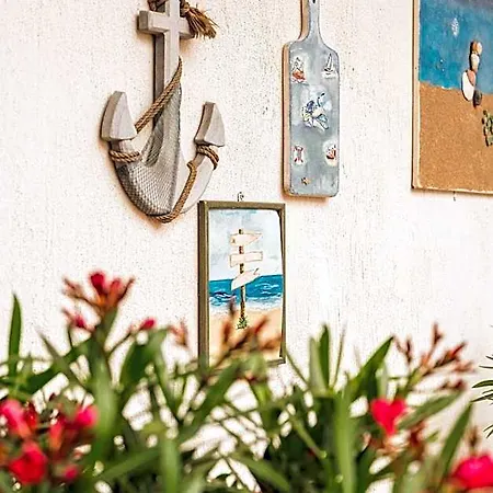 Hotel Sunny Border (adults Only) Vama Veche